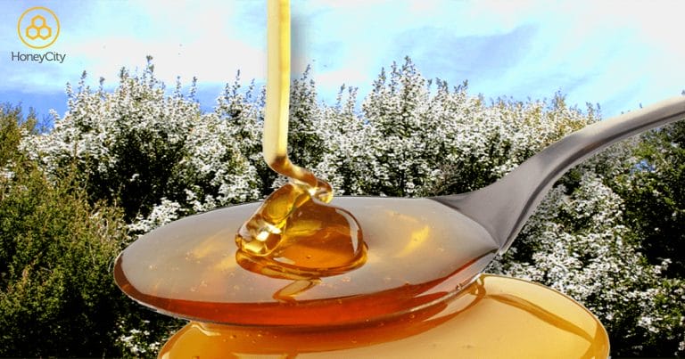 如何正確的食用麥盧卡蜂蜜？