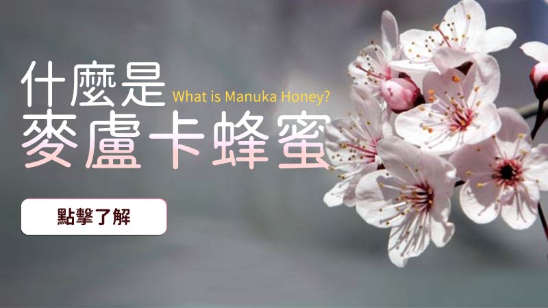 甚麼是麥盧卡蜂蜜? 連接 What is Manuka Honey? Link